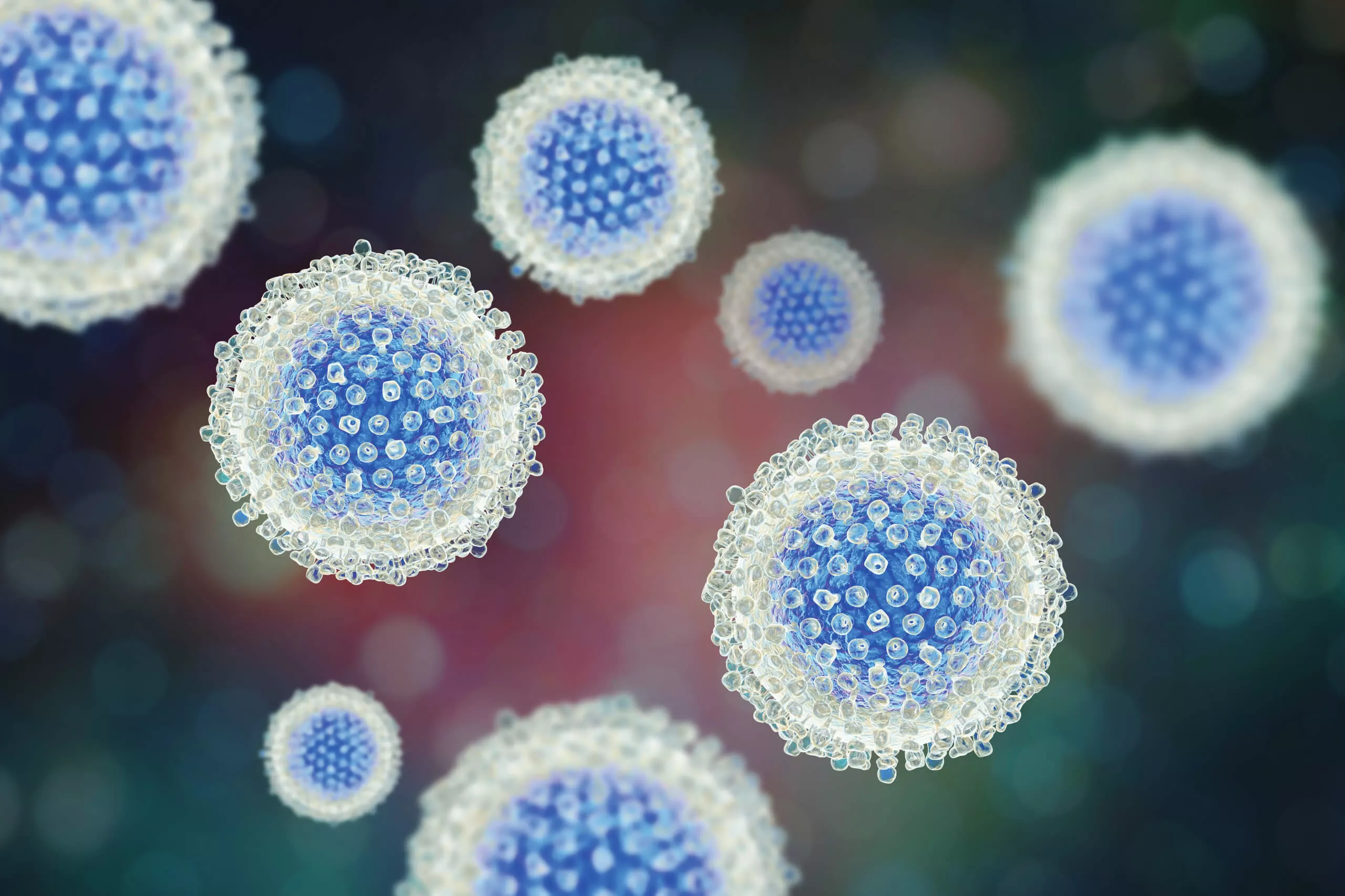 Bild des Hepatitis-B-Virus (HBV)